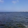 Marsala_2012 (240)